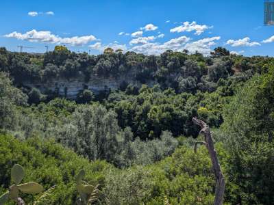 Dirigendosi verso l�entrata possiamo ammirare dall�alto la rigogliosa vegetazione del Pulo...